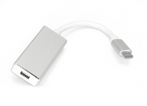 Адаптер Type-C на mini Display Port серебро Адаптер Type-C на mini Display Port серебро